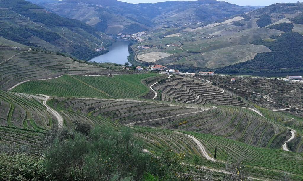 Vistadouro Peso da Régua Eksteriør billede